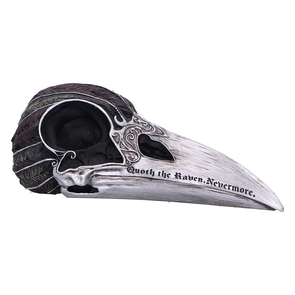 Quoth The Raven 20.2cm