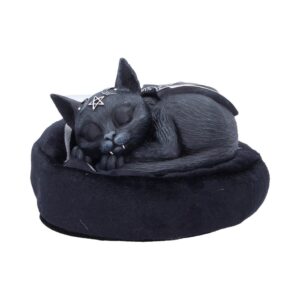 Malpuss Dreams