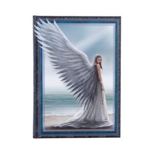 Spirit Guide Journal (AS) 17cm