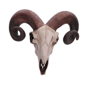 Rams Skull Medium 33cm