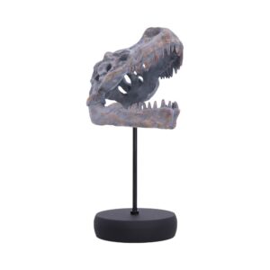 Tyrannosaurus Rex Skull on Plinth